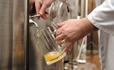 Complete Brewery and Restaurant Equipment Package