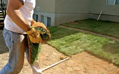 Established Landscaping and Tree Service with 247 Emergency Services