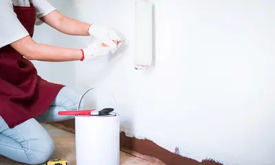 Established Painting Franchise with Strong Market Presence