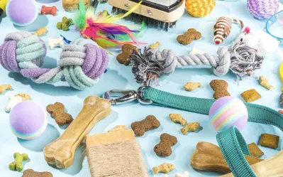 Complete Pet Store Assets with High Value Inventory