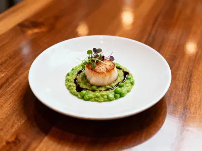 Premier Commercial Property with Versatile Business Potential