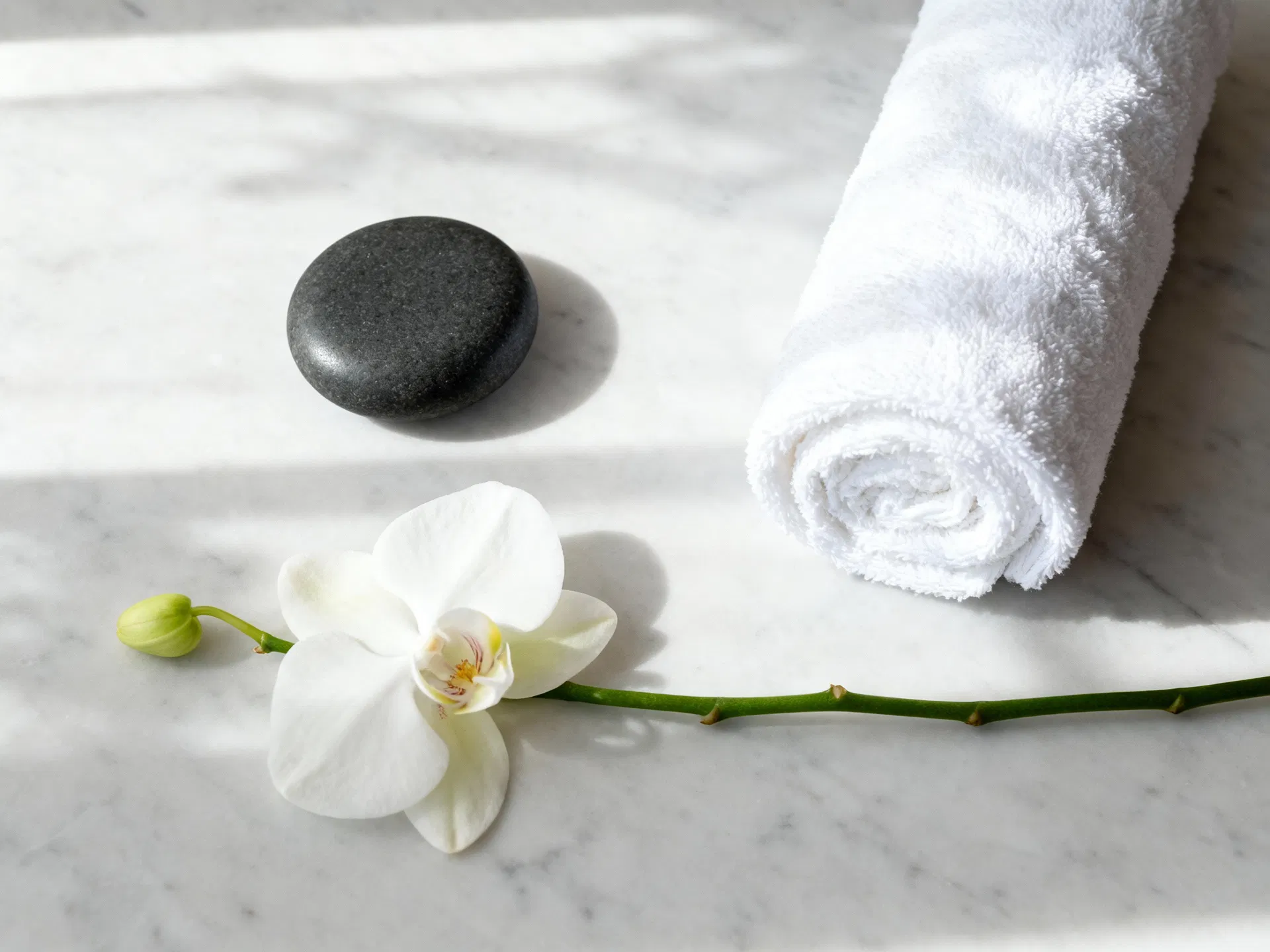 Thriving Spa with Loyal Clientele