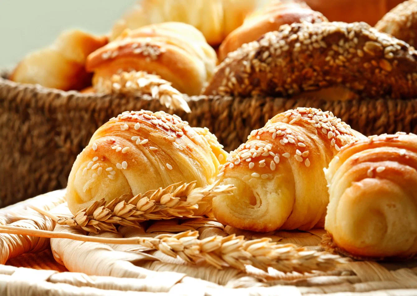 Profitable Multi Location Bakery Franchise with Turnkey Operations