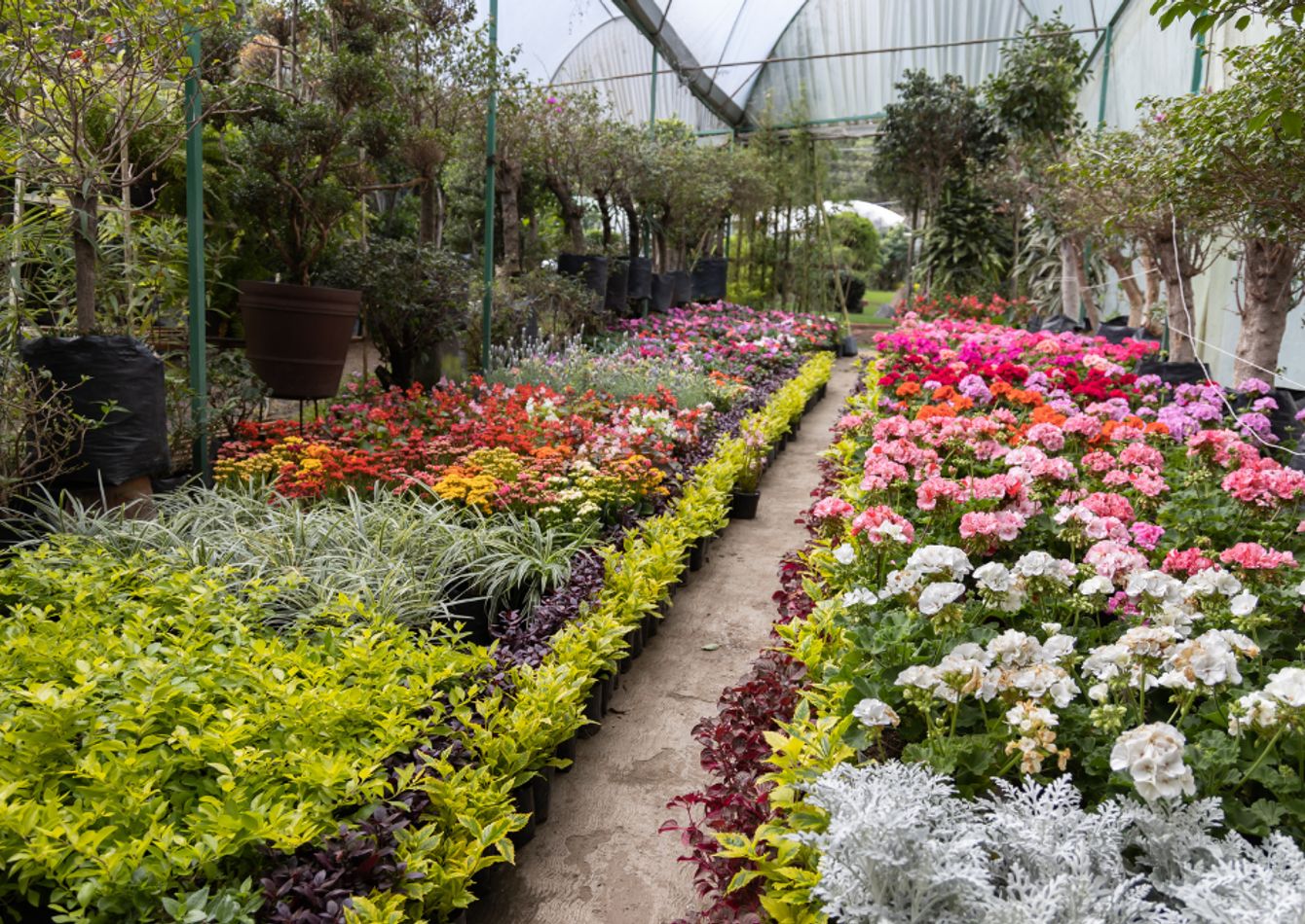 Premier Garden Center with Loyal Customer Base