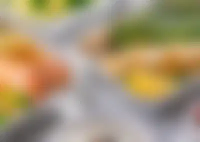 Profitable Healthy Meal Delivery Service with Recurring Revenue