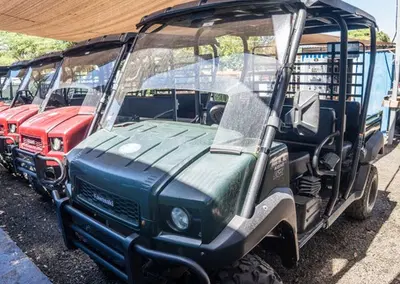 Premier Bioluminescent Bay Tour Operator with UTV Rentals