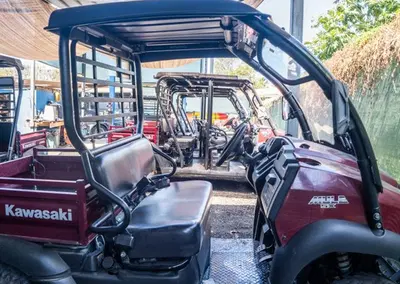 Premier Bioluminescent Bay Tour Operator with UTV Rentals