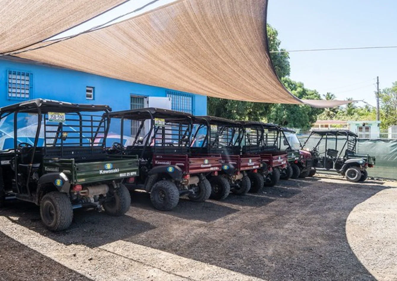 Premier Bioluminescent Bay Tour Operator with UTV Rentals