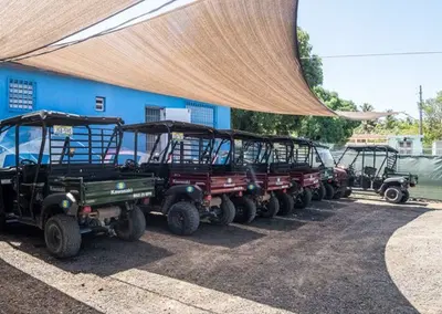 Premier Bioluminescent Bay Tour Operator with UTV Rentals