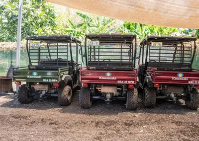 Premier Bioluminescent Bay Tour Operator with UTV Rentals