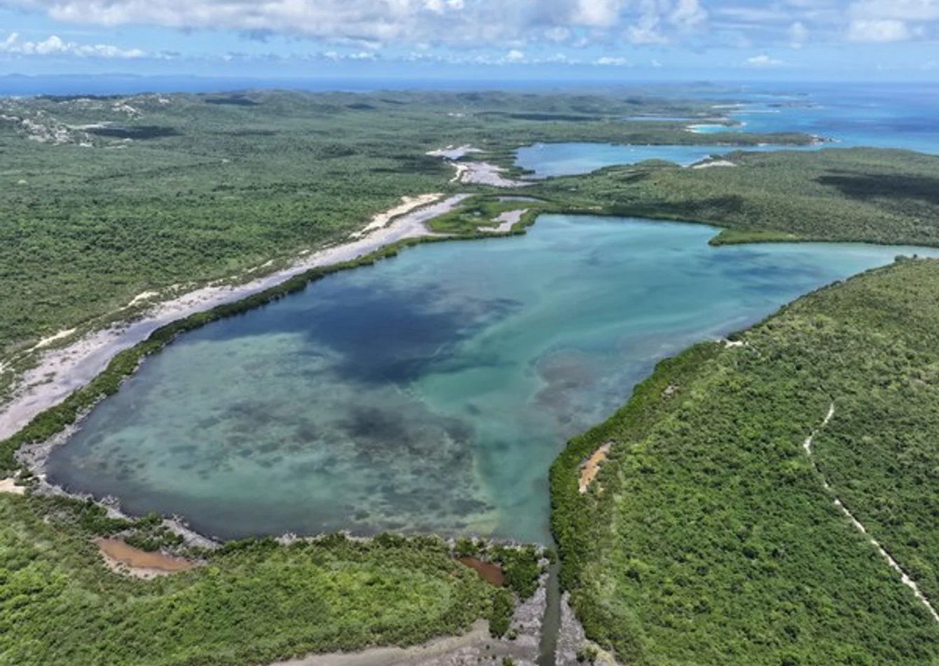 Premier Bioluminescent Bay Tour Operator with UTV Rentals