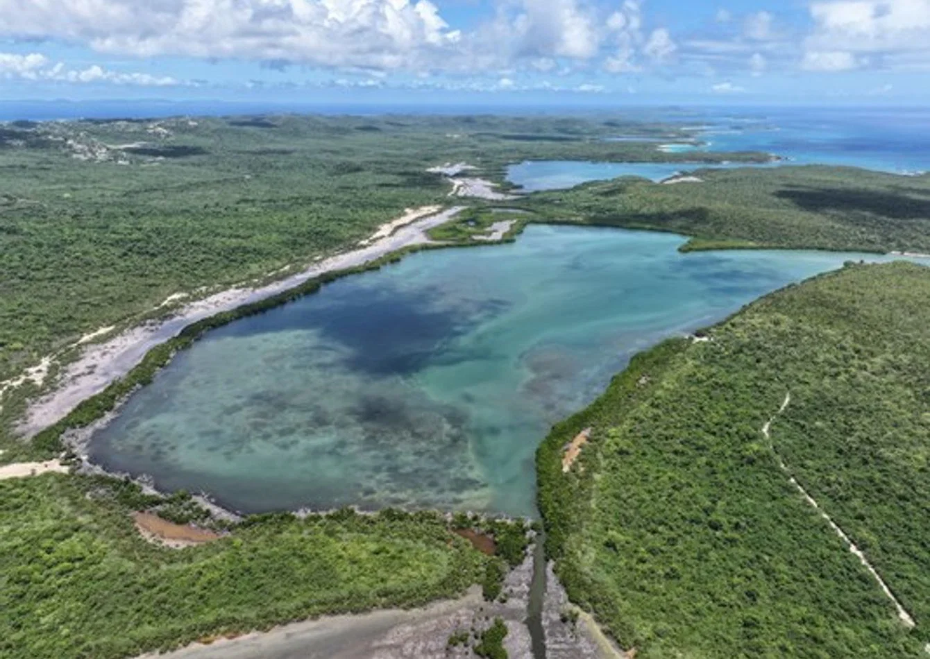Premier Bioluminescent Bay Tour Operator with UTV Rentals