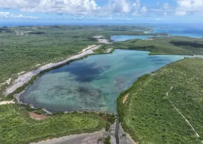 Premier Bioluminescent Bay Tour Operator with UTV Rentals
