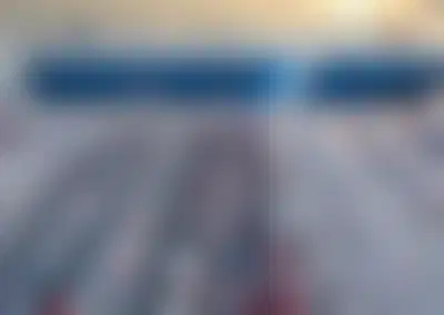 Profitable Car Import Business with Lean Operations