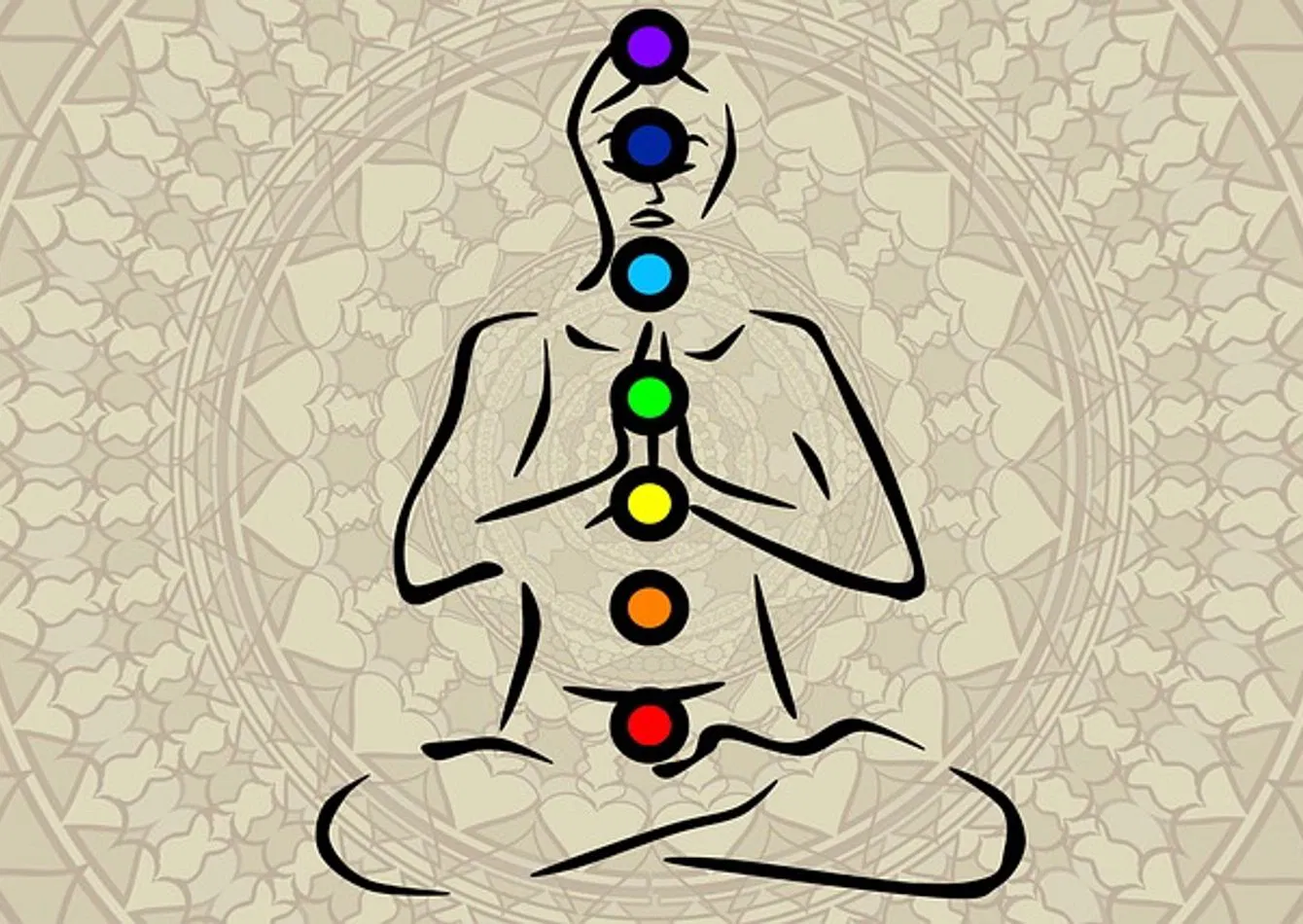 Premier Lifestyle Retailer with Strong Community Presence