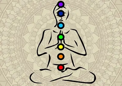 Premier Lifestyle Retailer with Strong Community Presence