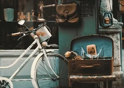 Complete Gourmet Confectionery and Gift Shop Assets