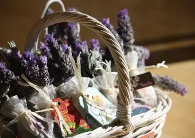 Complete Gourmet Confectionery and Gift Shop Assets