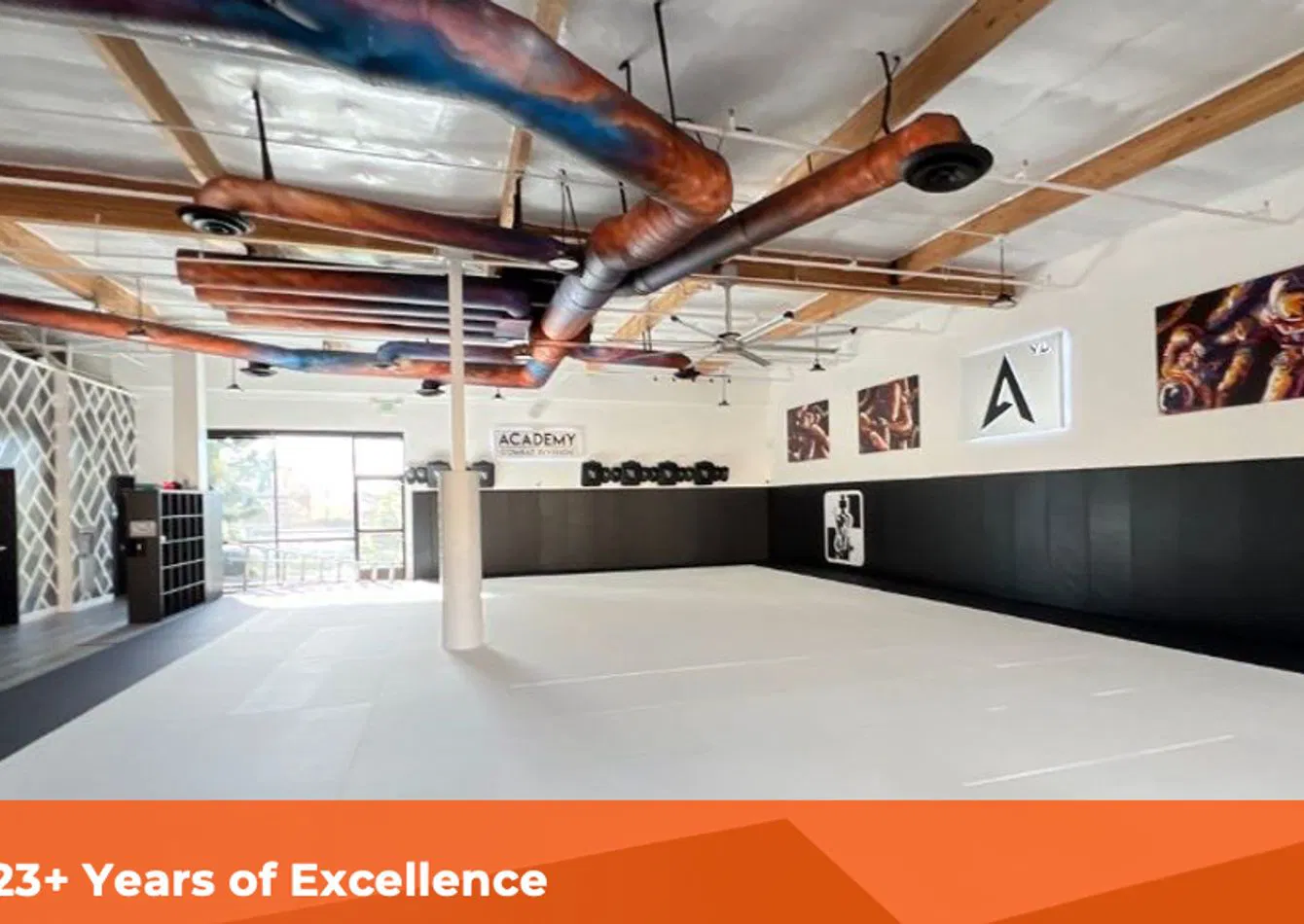 Profitable Restoration  Remediation Company with AI Driven Marketing