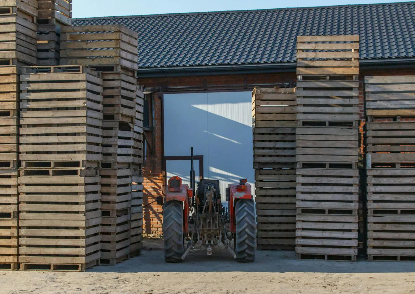 Complete Pallet Manufacturing Equipment Package