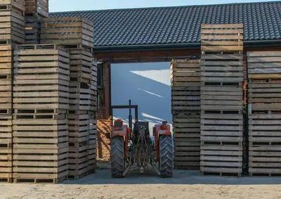 Complete Pallet Manufacturing Equipment Package