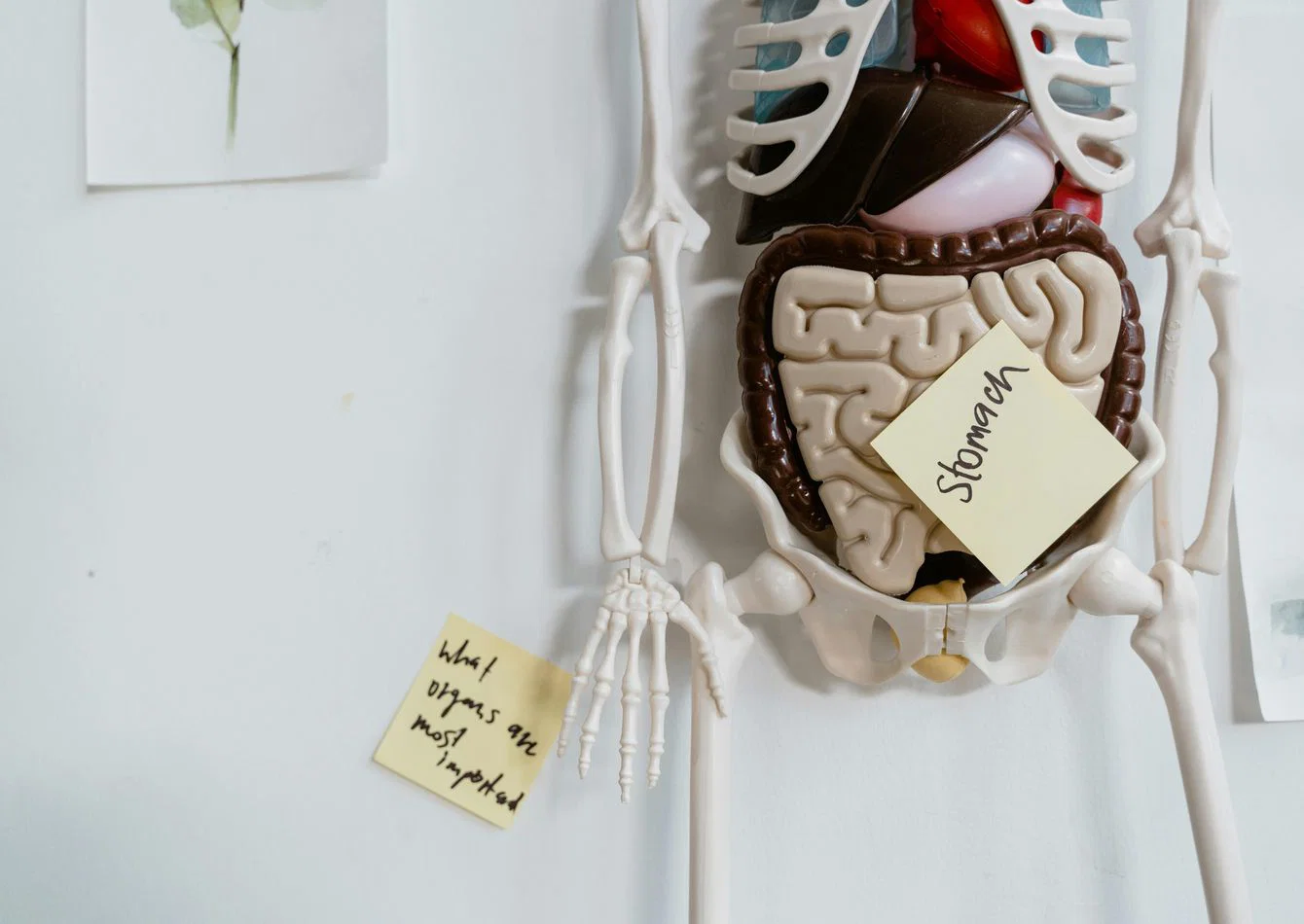 Complete Outpatient Surgery Center and GI Practice Assets