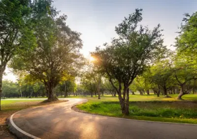 Complete Landscaping and Snow Management Equipment Package