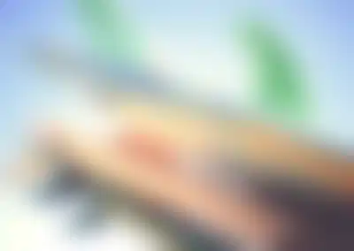 Iconic Surf Retailer with Strong Brand Recognition