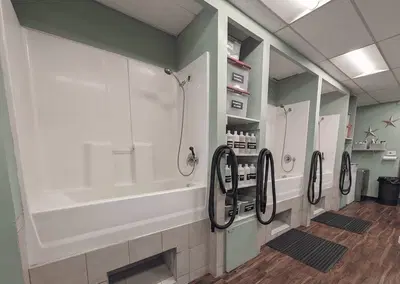 Complete Pet Grooming Spa Equipment Package