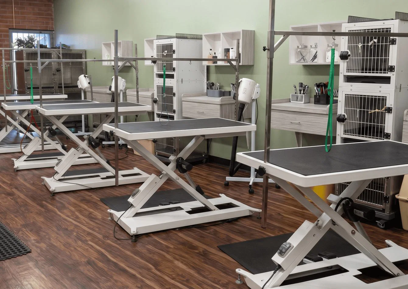 Complete Pet Grooming Spa Equipment Package