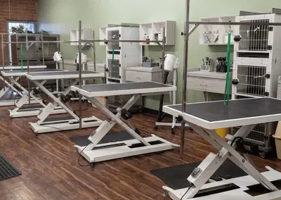 Complete Pet Grooming Spa Equipment Package