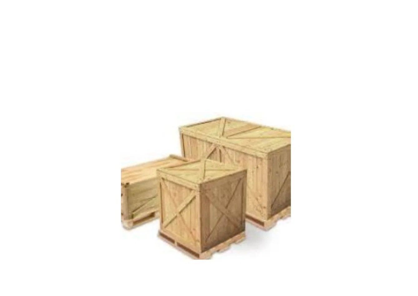 Established Packaging and Freight Solutions with Fortune 500 Accounts