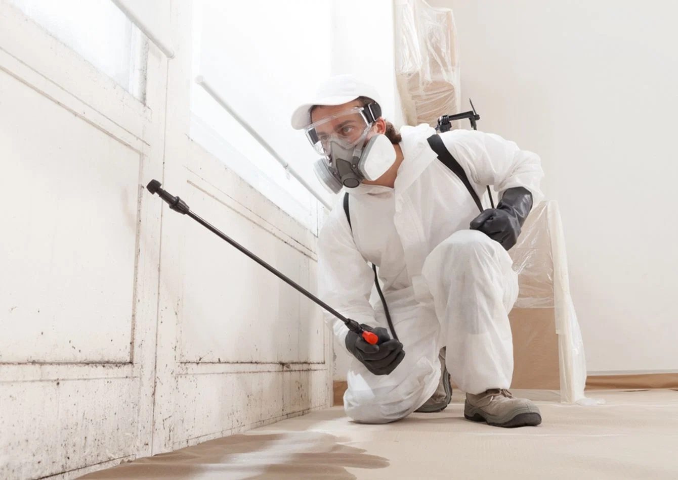 Profitable Pest Control Business with Loyal Client Base