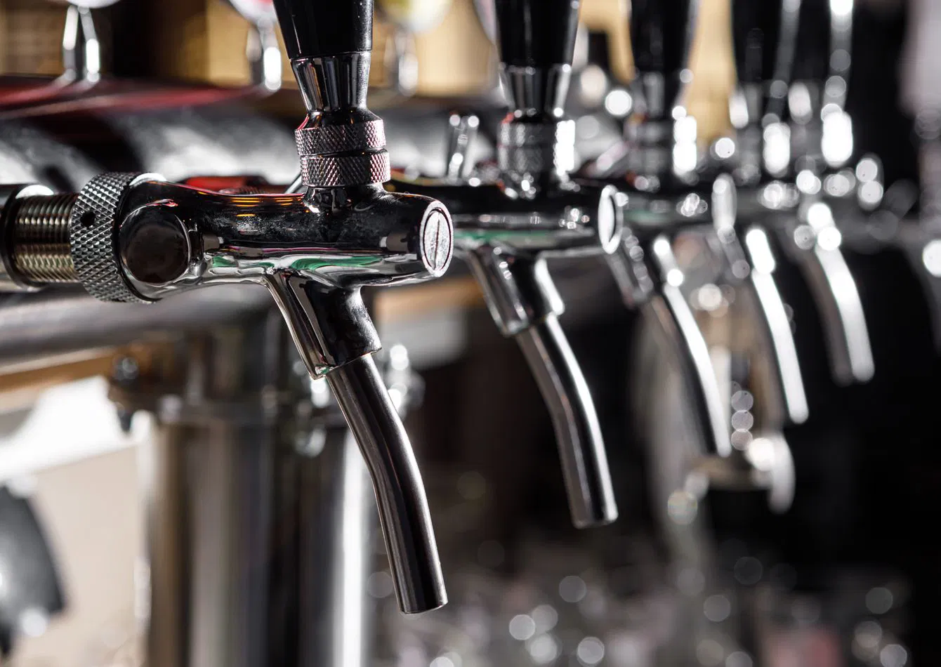 Profitable Mountain Pub with Optional Brewing Facility