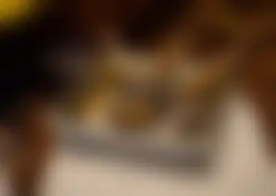 Elite Cigar Lounge with Exclusive Membership Model