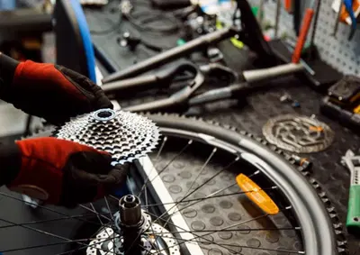 Established Cycling Retailer with Loyal Clientele