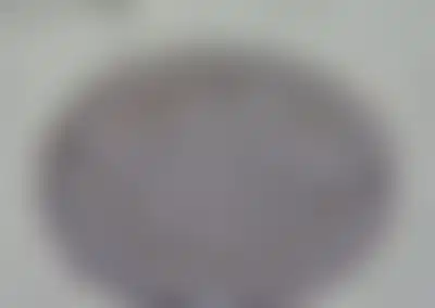 Established Restaurant Service Business with Loyal Client Base