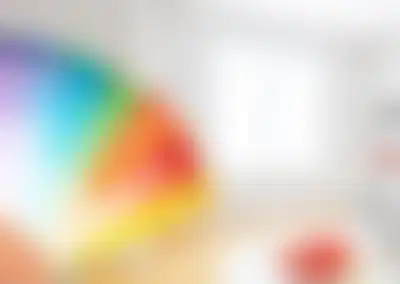 Profitable Painting Franchise with National Brand Recognition