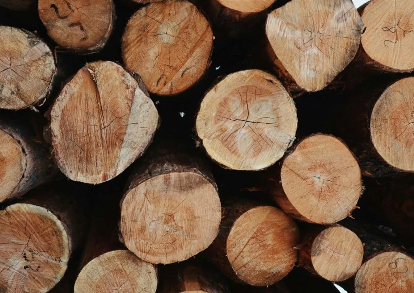 Established Wood Treating Company with Real Estate Available