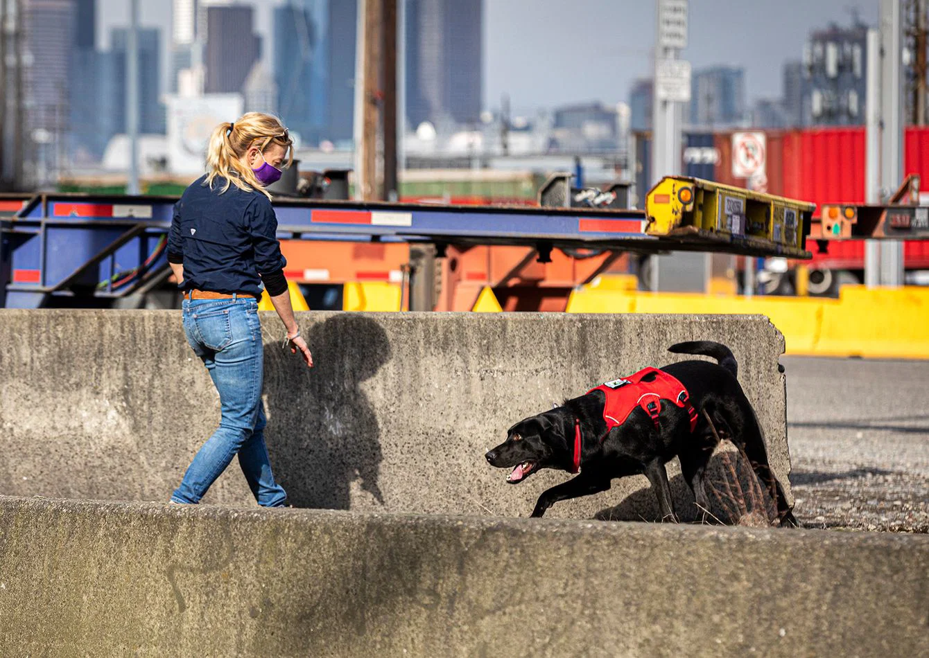 Complete Contraband Detection Equipment Package with Canine Assets