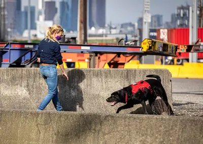Complete Contraband Detection Equipment Package with Canine Assets