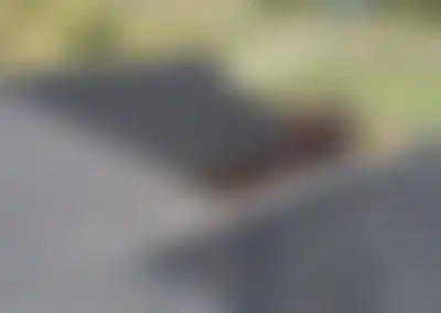 Growing Exterior Home Services Company with High Margin Work