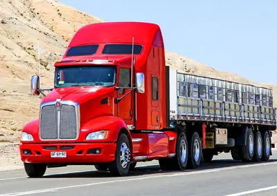 Niche Automotive Distribution with Protected Territory