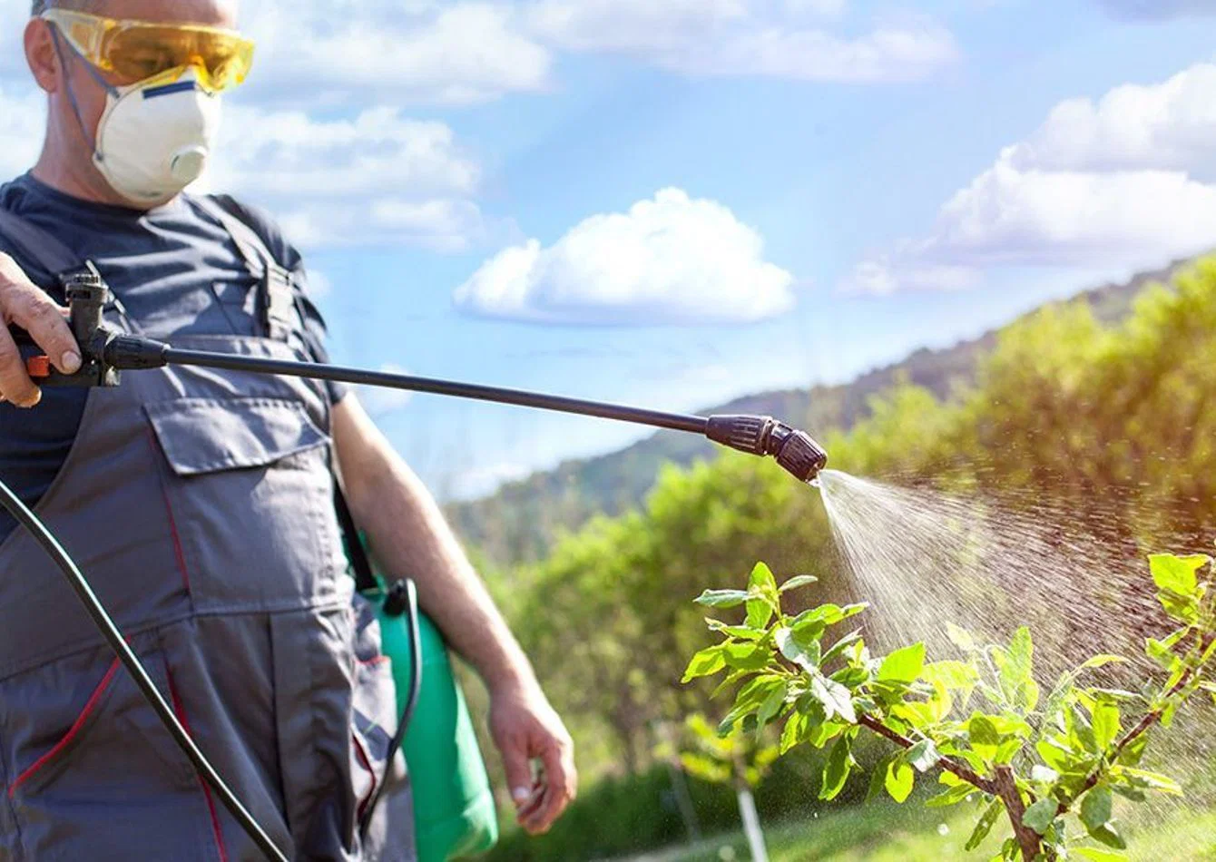 Premier Landscaping Service with Strong Recurring Revenue