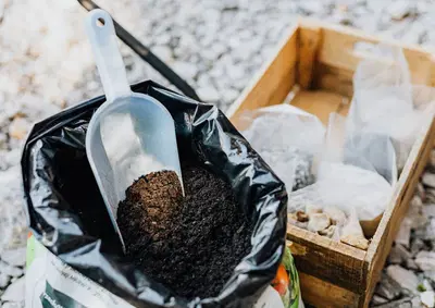 Profitable Landscaping Supply and Service with Multiple Revenue Streams