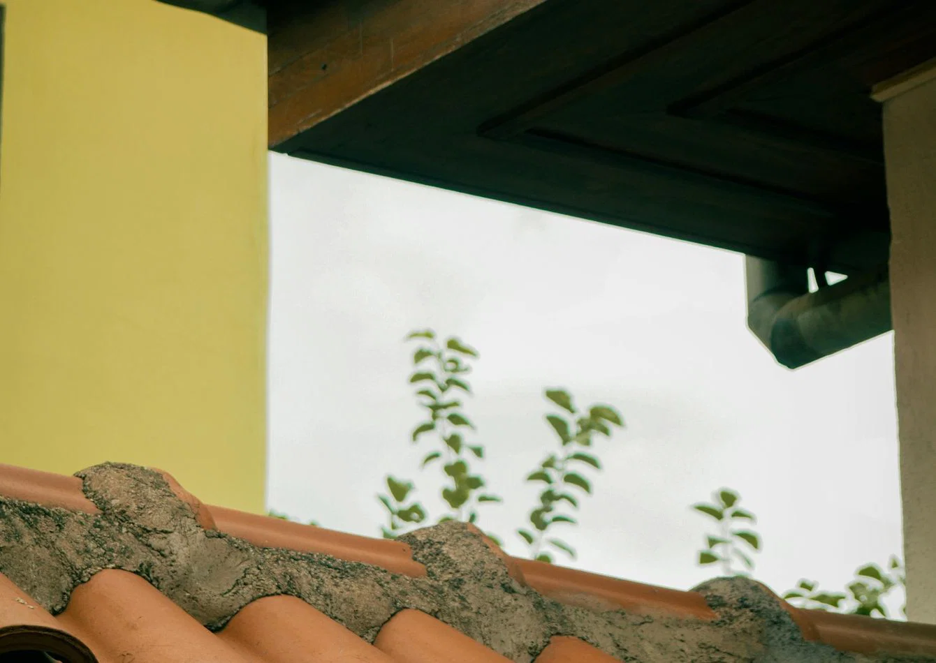 Complete Gutter System Equipment Package with Established Client Referrals