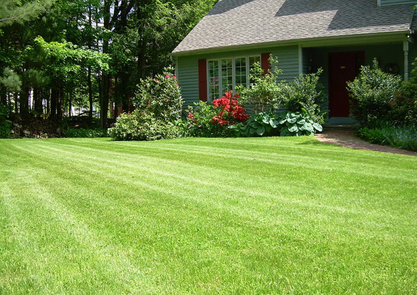 Leading Outdoor Pest Control Franchise with High Volume Operations