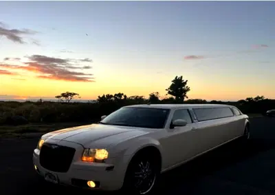 Premier Luxury Limousine Brand with Strong Hotel Partnerships
