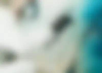 Thriving Auto Body Shop with Turnkey Operations