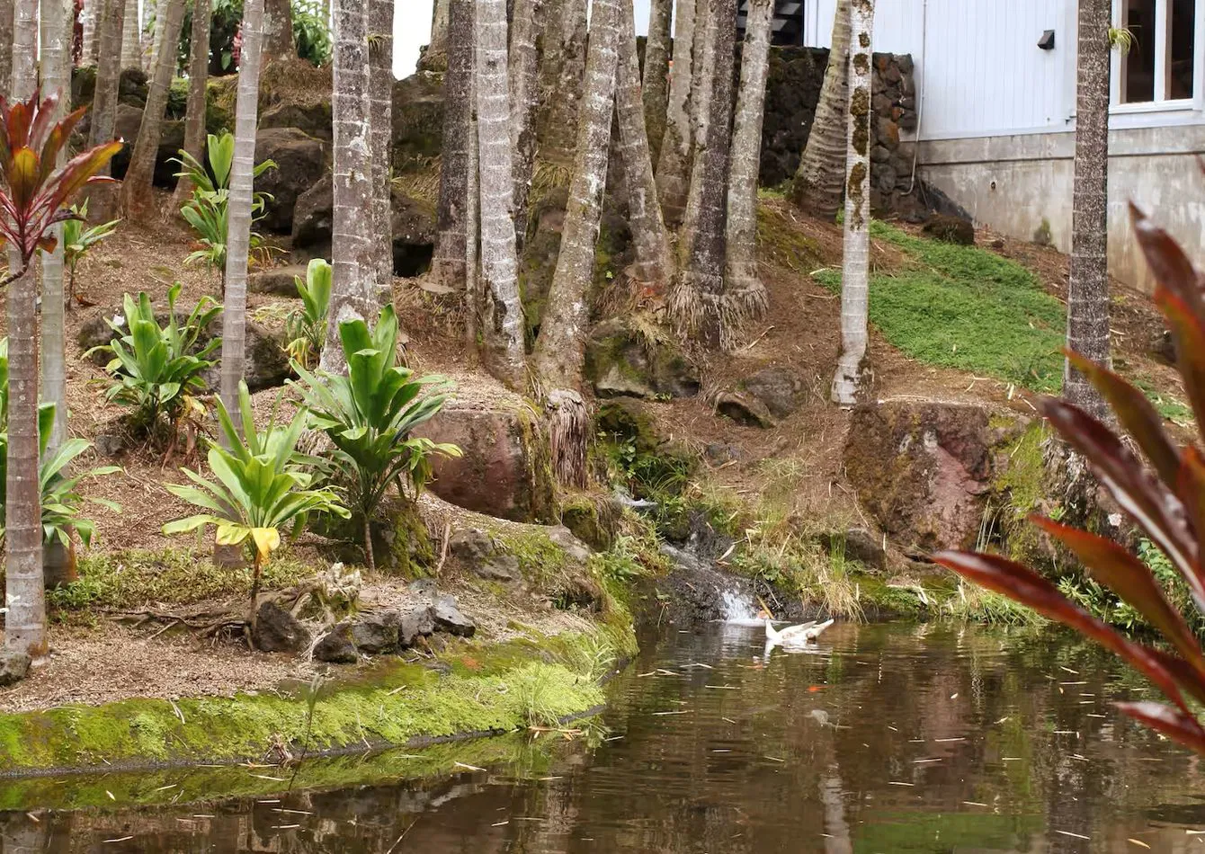 Turnkey Vacation Rental with Legal Short Term Zoning